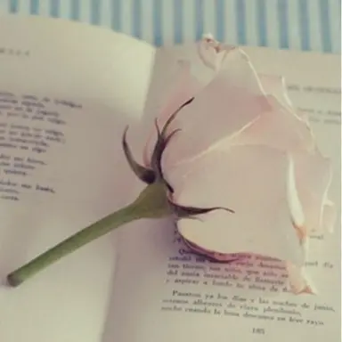 Profile image of 청나라