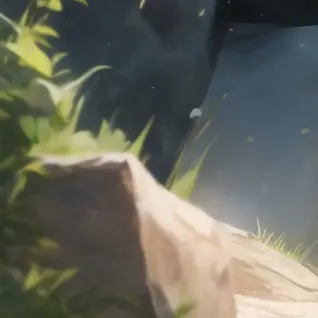 Profile image of ココ