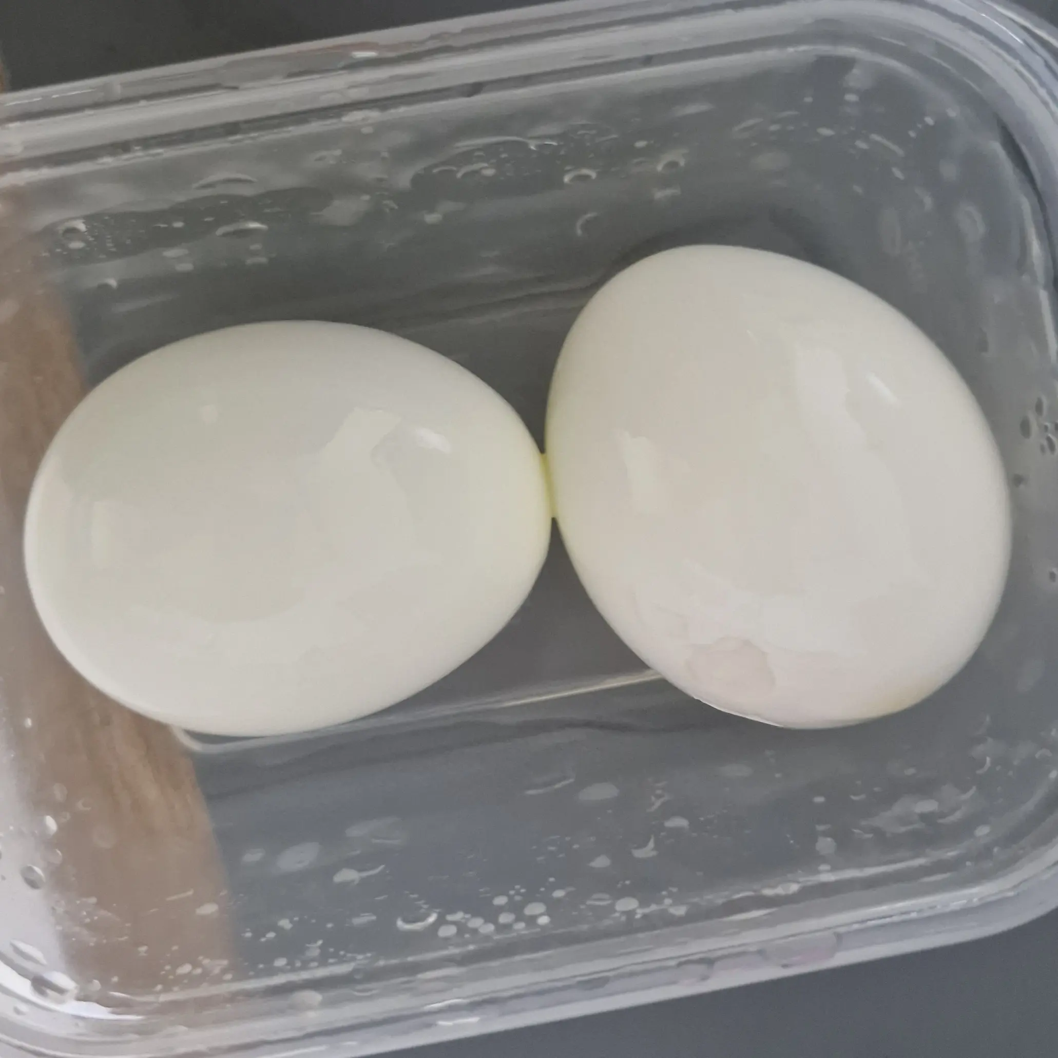 Posay의 샳은계란이말을한다