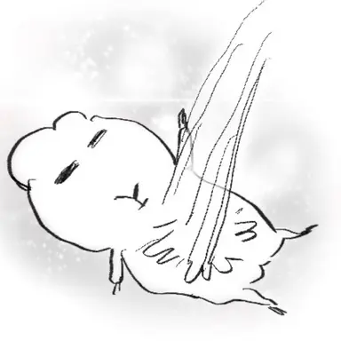 Profile image of 마에다 리쿠