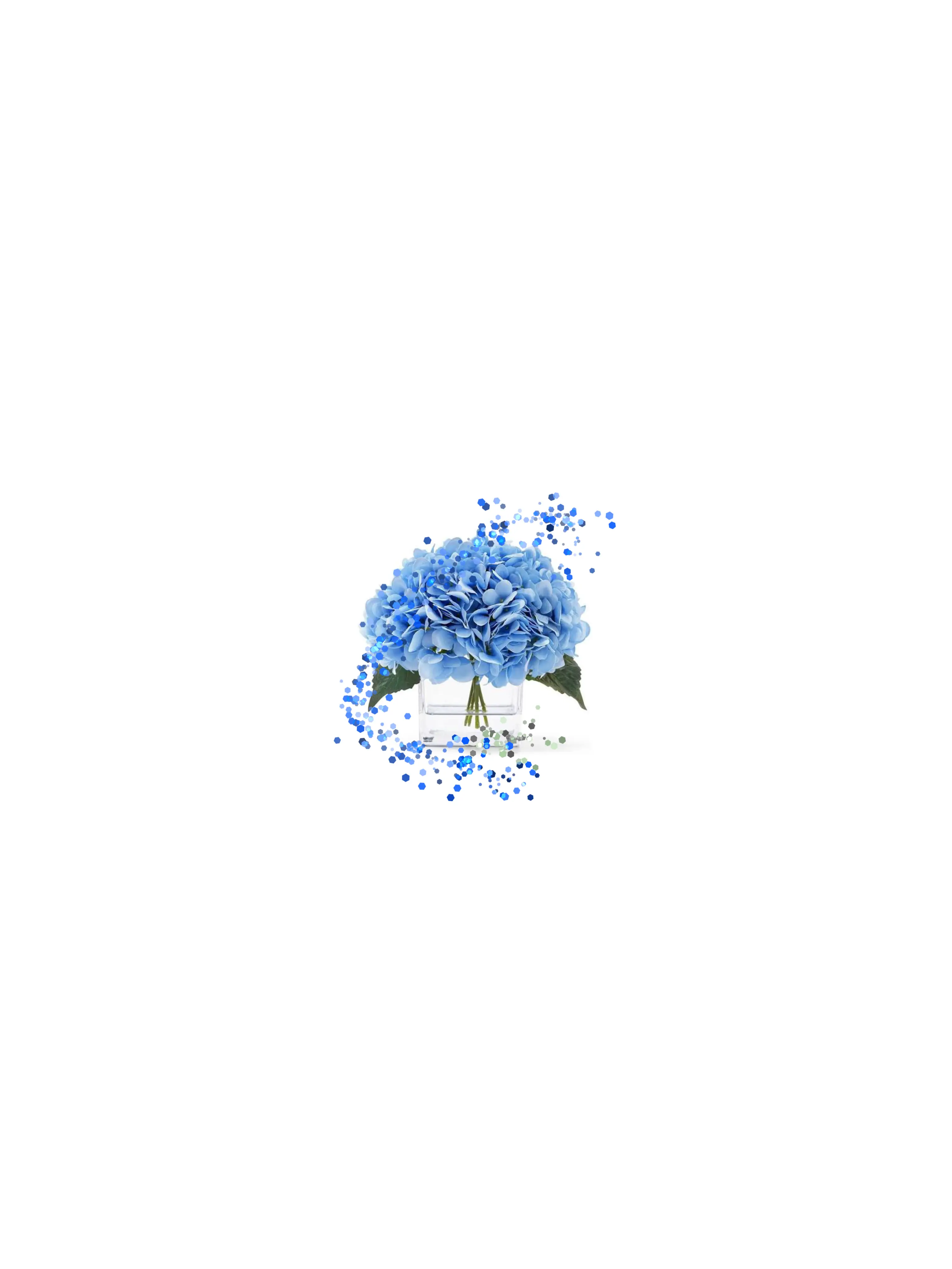 LargeVise1049의 妄想