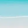 Profile image of 자유롭게