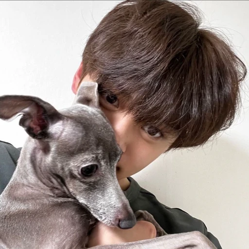 김규빈