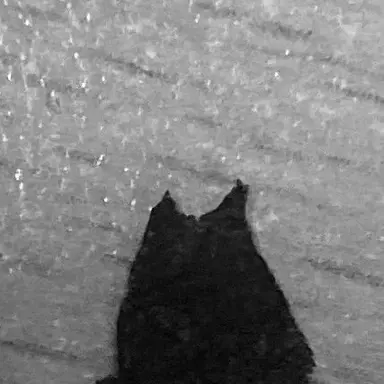 Profile image of 헨리