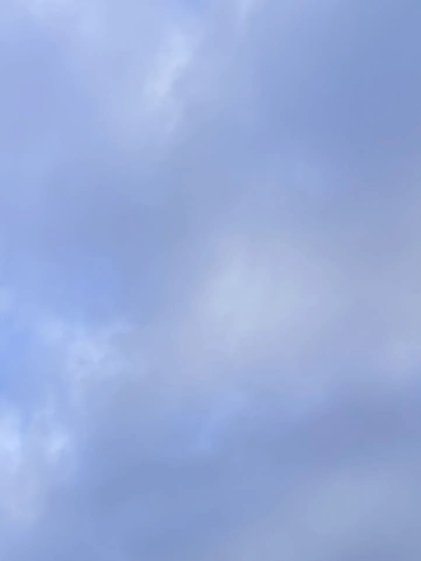 950504의 시라부 켄지로