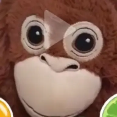 Profile image of 서여우