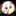 모쥐Roblox