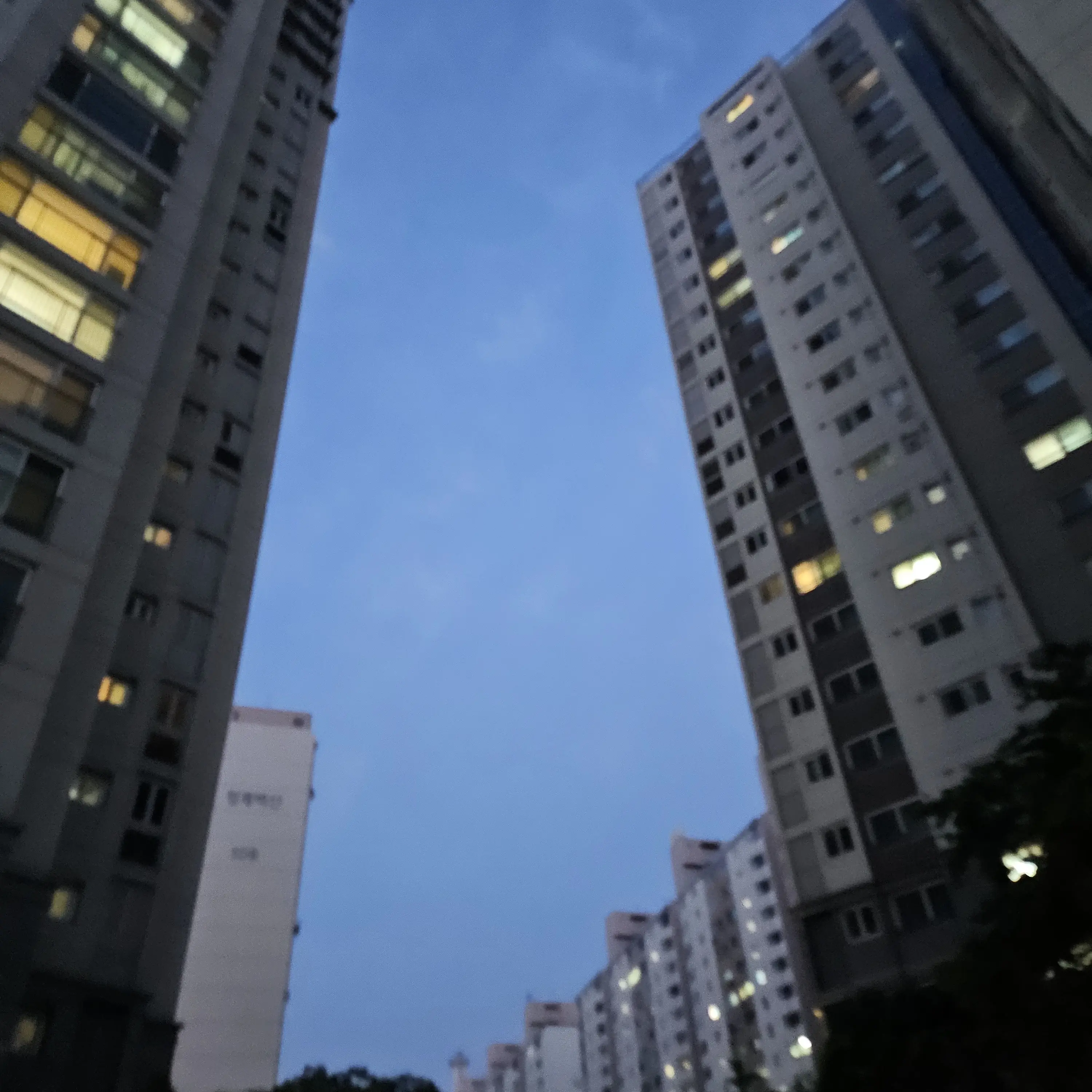 HomelyStage5664의 리바이헤쵸