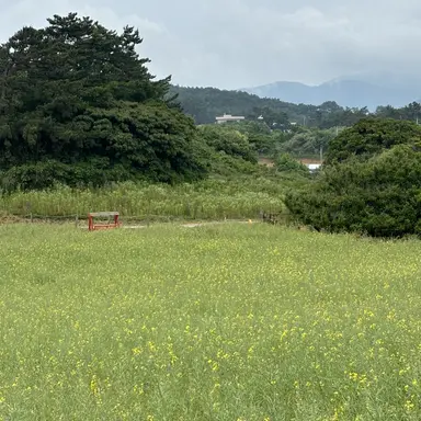 Profile image of 오동동