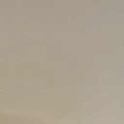 Profile image of 아빠