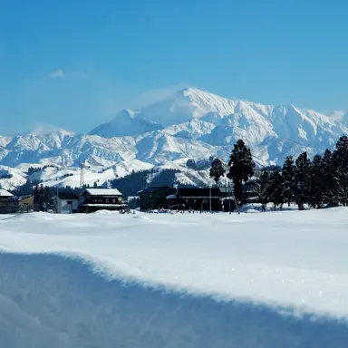 Profile image of 최가온