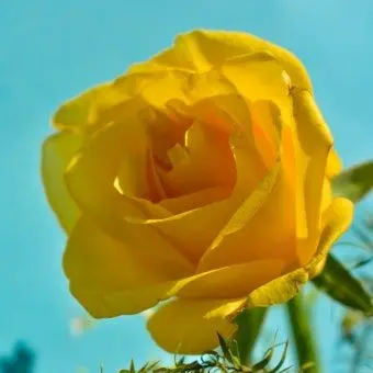 Profile image of 각별