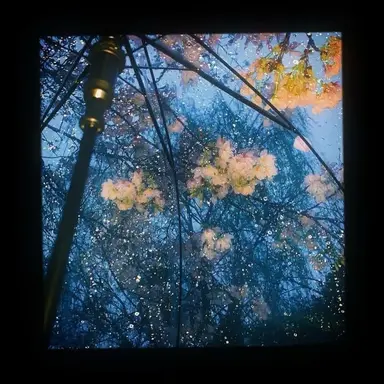 Profile image of SKY-HI