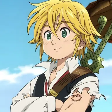 Profile image of メリオダス