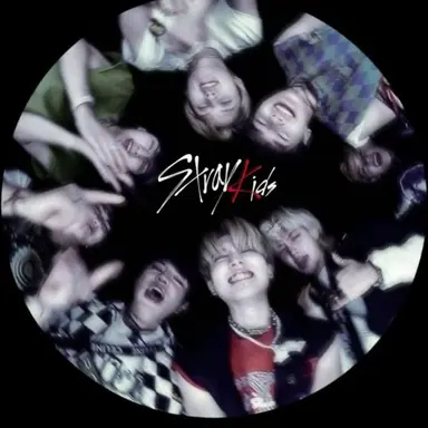 Profile image of Stray kids