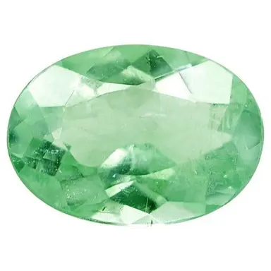 Profile image of 오뉴