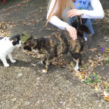 Profile image of 윤서연