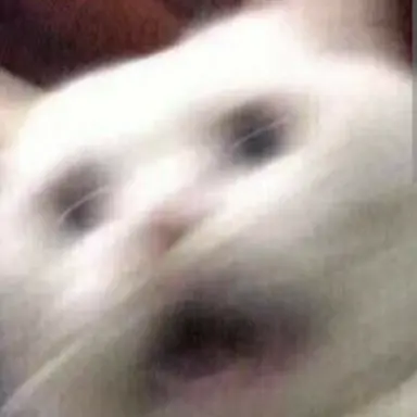 Profile image of 고영희씨