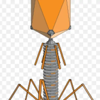 Profile image of 박테리오파지