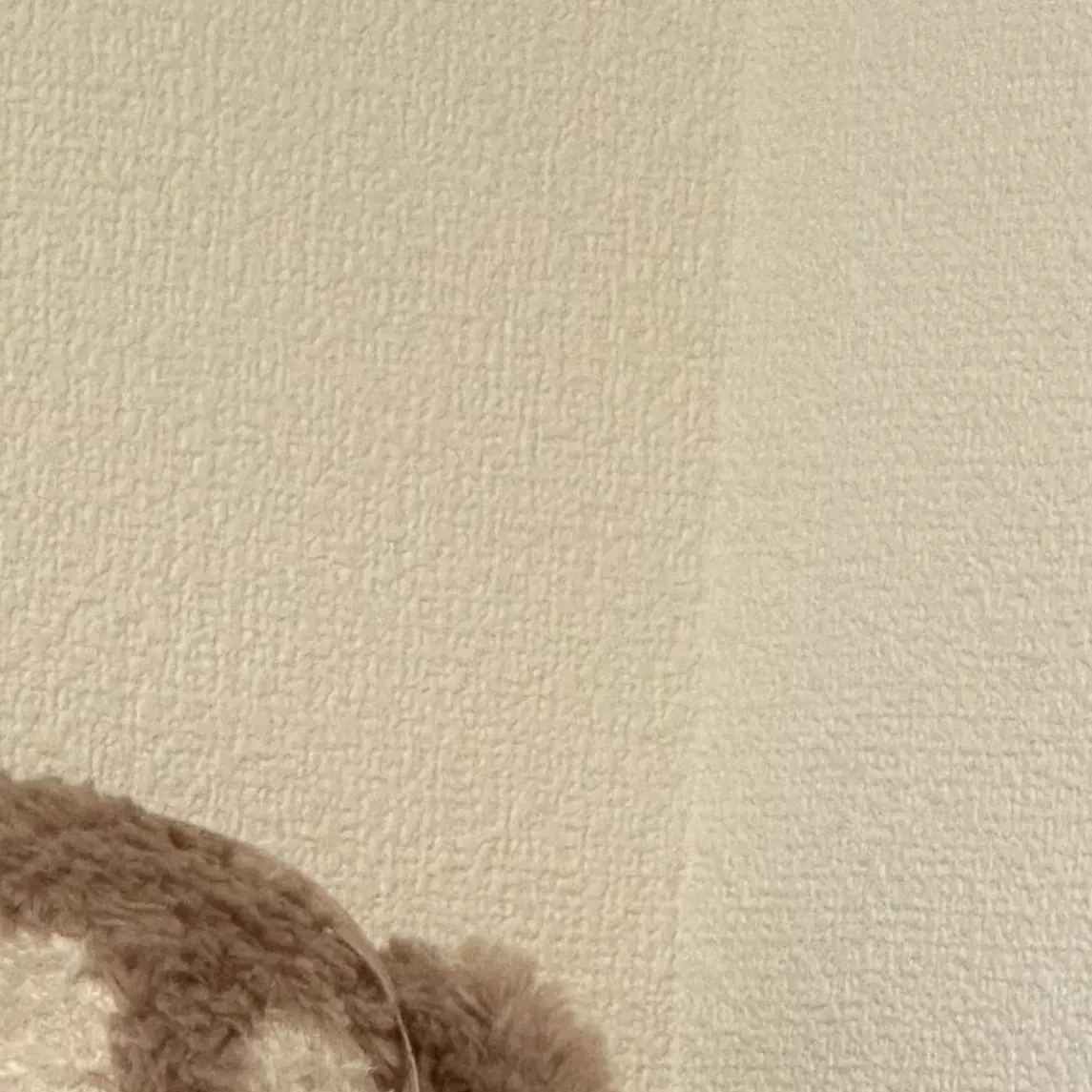 NosyFlute4760의 孤独同士の一目惚れ