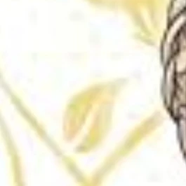 真戸暁