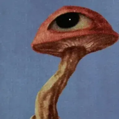 Profile image of 풍구스