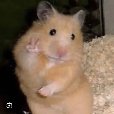 Profile image of 김태성
