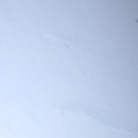 명재현
