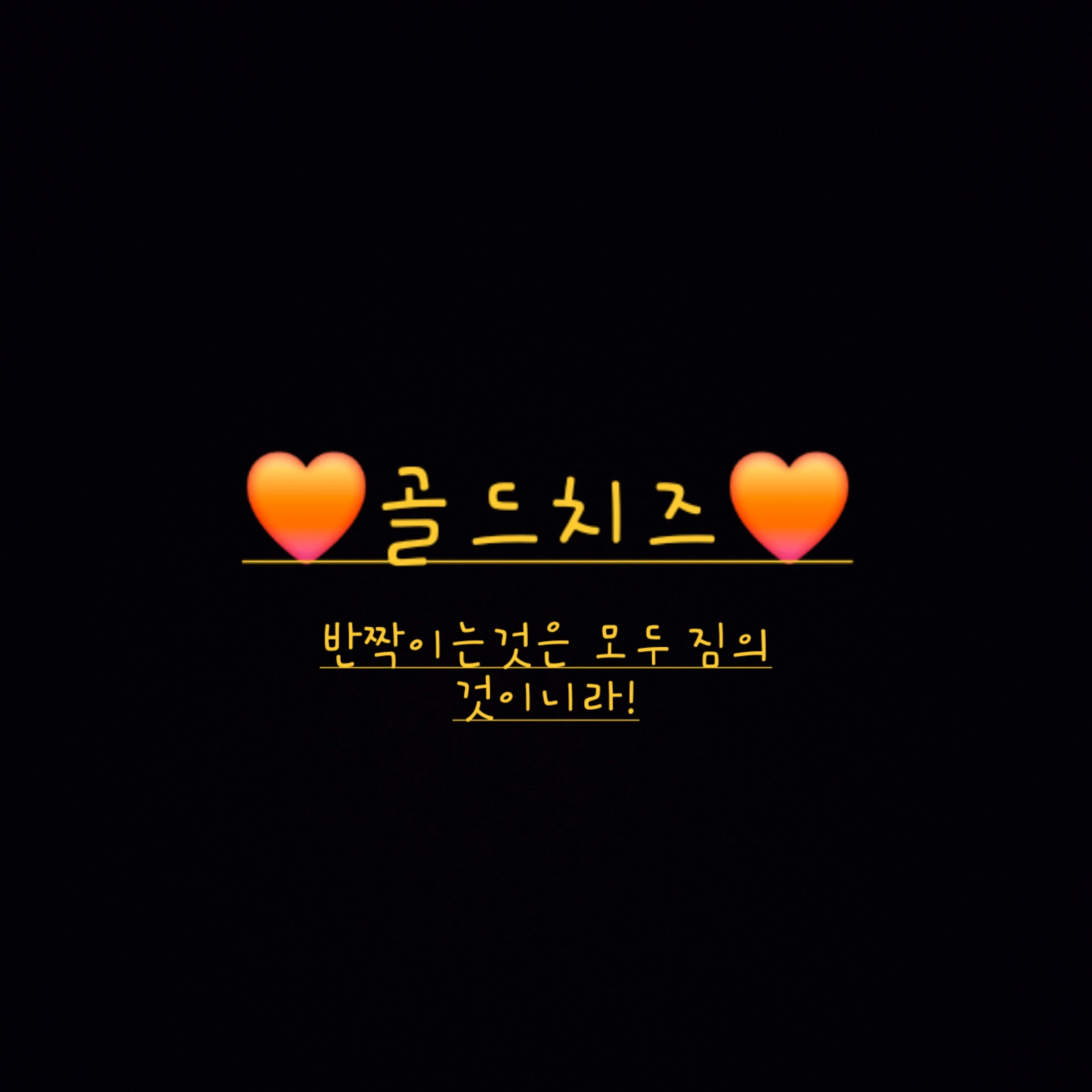 골드치즈