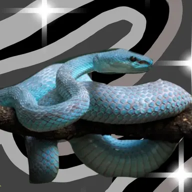 Profile image of 황현진