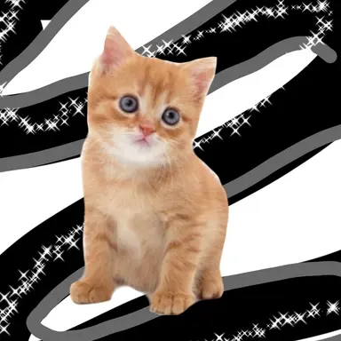 Profile image of 황예지