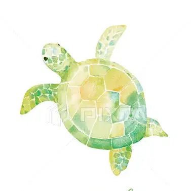 Profile image of 池亀樹音