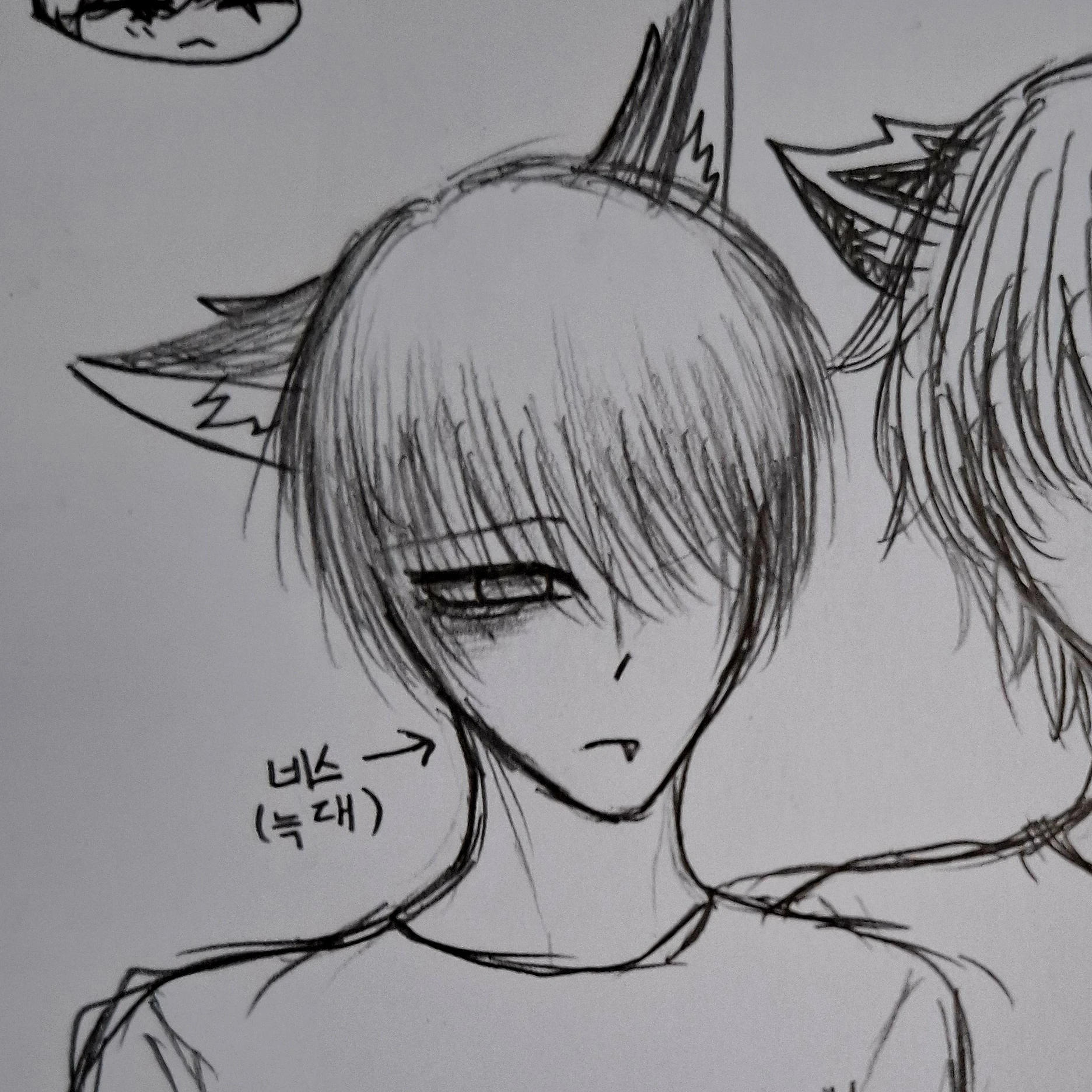 네스