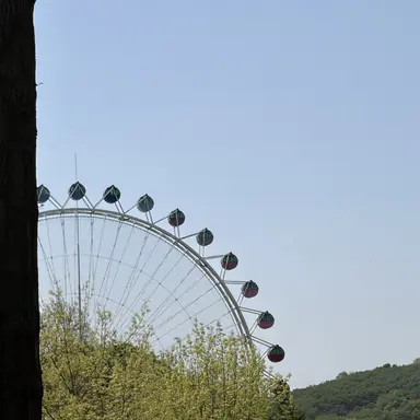 Profile image of 이루카