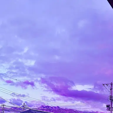 Profile image of 山本