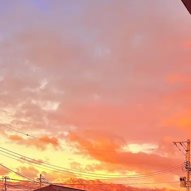 Profile image of 鶴崎