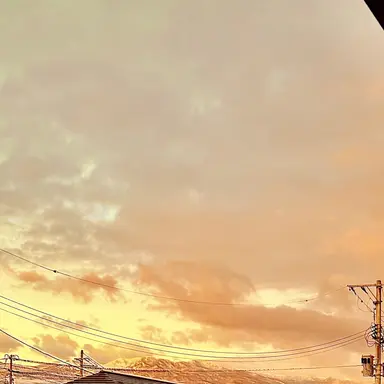 Profile image of 河村