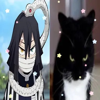 Profile image of Obanai Iguro