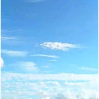 SOJUHEE의 나혼자병원