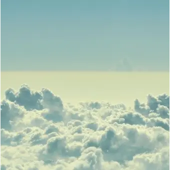 Profile image of 조이