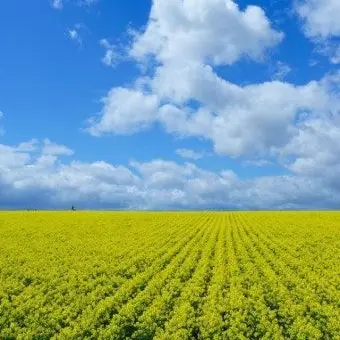 Profile image of 이주승