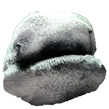 Profile image of 화이티