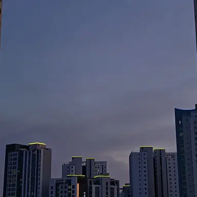 Profile image of 알리페데