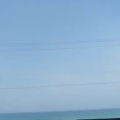 Profile image of 이화자