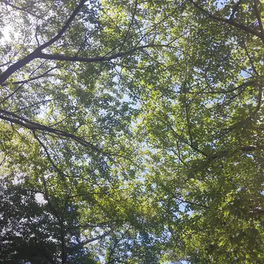 Profile image of 리온