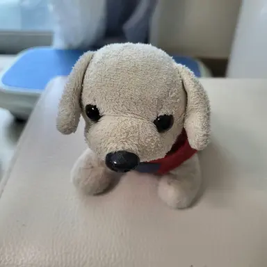 Profile image of 세관이