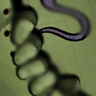 Profile image of 미술괴물.데칼코마니