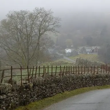 Profile image of Rory