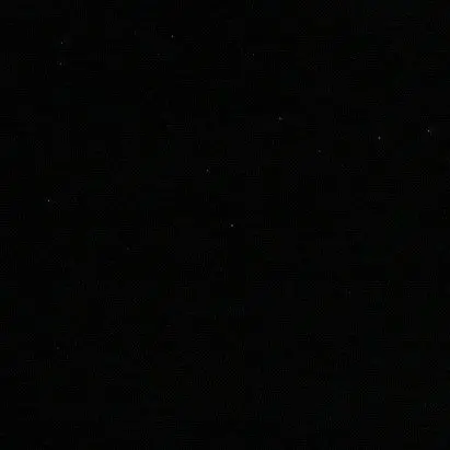 bin137의 좀아포 패러다이스