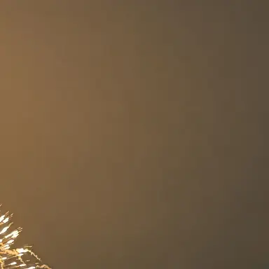 Profile image of セオドア